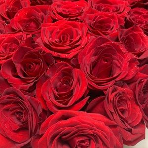 Meet your Posher, Alena